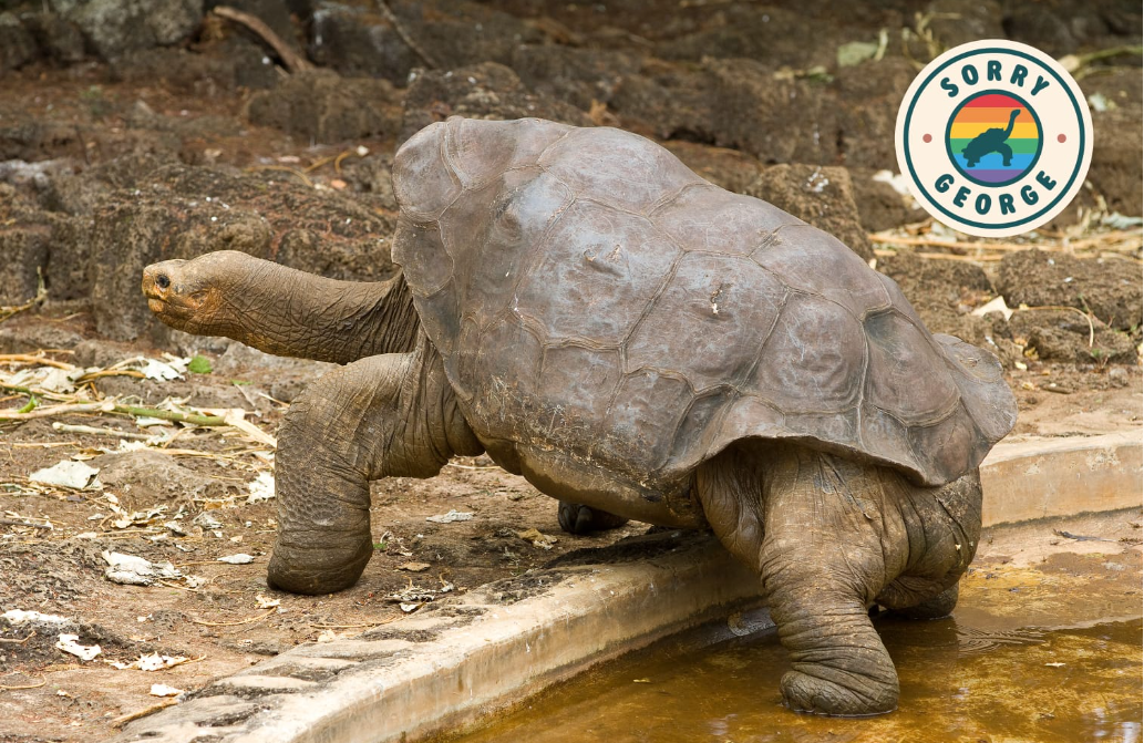 Sorry George, Un llamado a la inclusión en la conservación de las especies