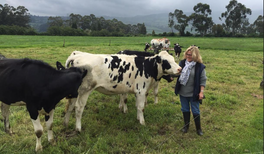 comida: VITA PROMUEVE EL CRECIMIENTO DE MUJERES GANADERAS