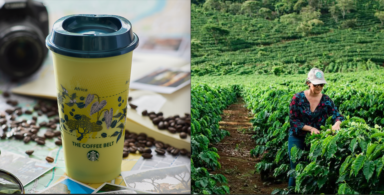 STARBUCKS Ecuador celebra el Día Internacional del Café con un homenaje a los caficultores y actividades en sus tiendas