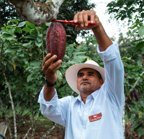 Creación de Valor Compartido, el modelo de negocio de Nestlé Ecuador que une crecimiento y propósito