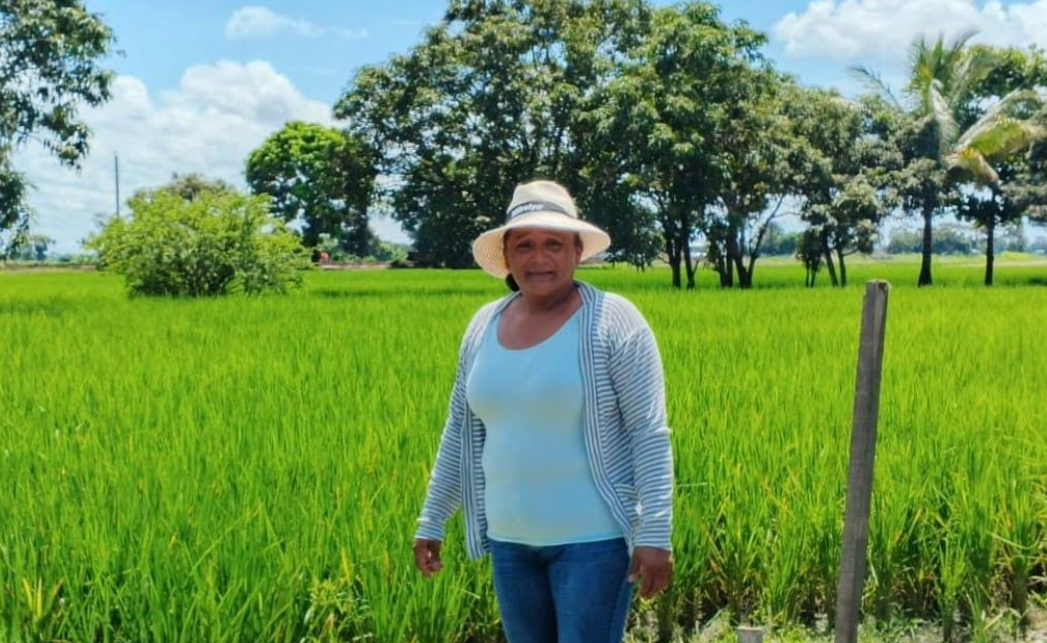 Más de 2 millones de mujeres impulsan el agro ecuatoriano: el liderazgo femenino que transforma la agricult ura del país