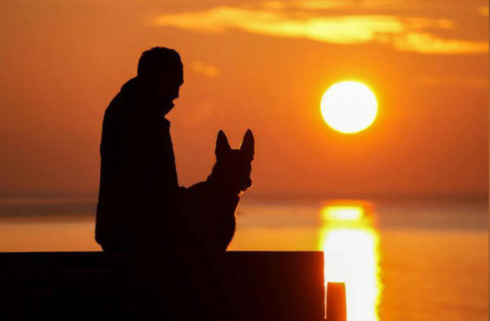 Estudio reveló que la relación entre humanos y perros data de hace 16.000 años